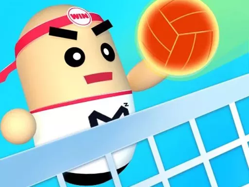 3D Amazing VolleyBall