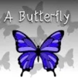 A Butterfly