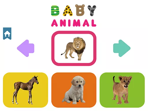 Baby Animal - game thumbnail image