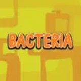 Bacteria