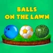 Balls on the Lawn game thumbnail image