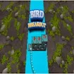 Bird Breakout game thumbnail image