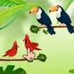 Bird Sort game thumbnail image