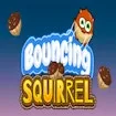 Bouncing Squirrel game thumbnail image
