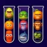 Brainrot Mind Puzzle Sort Challenge
