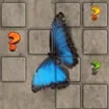 Butterfly Memory Match