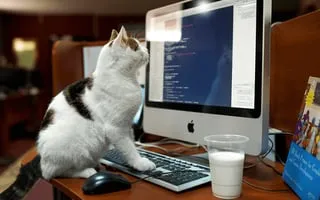 Cat Memory Match - game thumbnail image