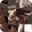 Cat Puzzle game thumbnail image