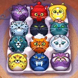 Cat Sorter Puzzle - game thumbnail image