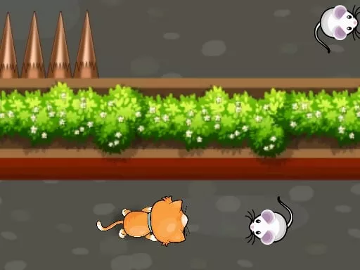 Cat Trap Labyrinth Escape - game thumbnail image
