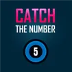 Catch The Number game thumbnail image