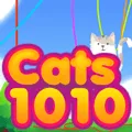 Cats 1010 game thumbnail image