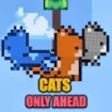 Cats Only Ahead