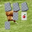 Chicken Memory Match game thumbnail image
