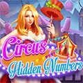 Circus Hidden Numbers game thumbnail image