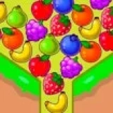 Connect and Remove Fruits