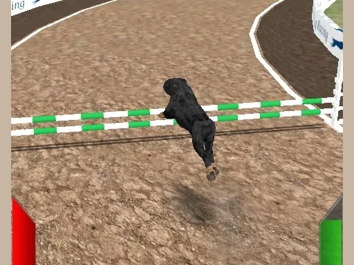 Crazy Real Dog Race - game thumbnail image