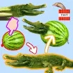 Create Bombardiro Crocodilo game thumbnail image
