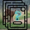 Deer Memory Match game thumbnail image