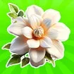 Dice Puzzles Flowers! game thumbnail image