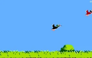 Duckhunt - game thumbnail image