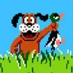 Duckhunt game thumbnail image