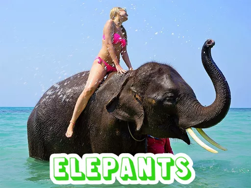 Elephants Puzzle - game thumbnail image