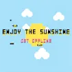 Enjoy The Sunshine game thumbnail image