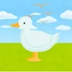 Epic Duck game thumbnail image