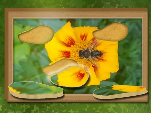 Find & Restore: Hidden Puzzle - game thumbnail image