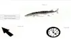 Fish Clicker game thumbnail image