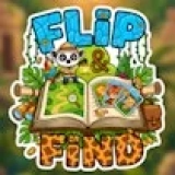 Flip & Find