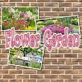 Flower Garden game thumbnail image