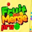 Fruit Merge Pro game thumbnail image