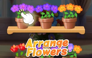 Good Flower Master - game thumbnail image