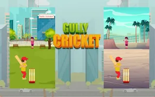 Gully Cricket - game thumbnail image