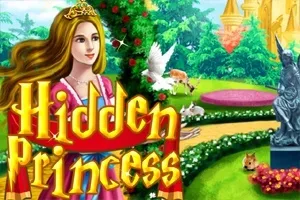 Hidden Princess - game thumbnail image