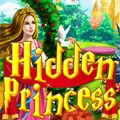 Hidden Princess game thumbnail image