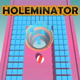 HOLEMINATOR