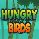 Hungry Bird