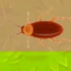 Insect Crusher game thumbnail image