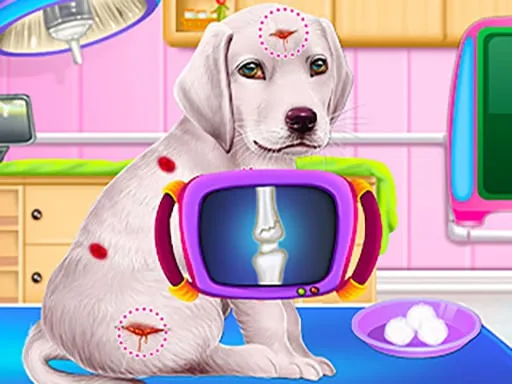 Labrador Puppy Daycare Salon - game thumbnail image