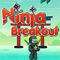 Ninja Breakout game thumbnail image