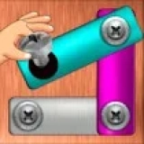 Nut & Bolt Steel Screw Puzzle