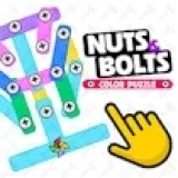 Nuts and Bolts - Color Puzzle