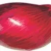 Onion game thumbnail image