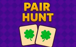 Pair Hunt - game thumbnail image