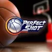 Perfect Shot game thumbnail image