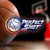 Perfect Shot