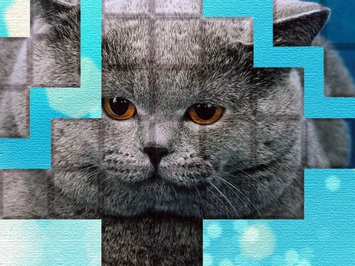 PicPu - Cat Puzzle - game thumbnail image